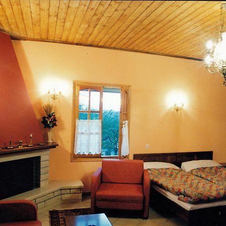 Epavli Antonis Apartment Konitsa Bagian luar foto